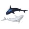 Papercraft World 3D Papercraft Wall Art DIY Kit - Tiger Sharks